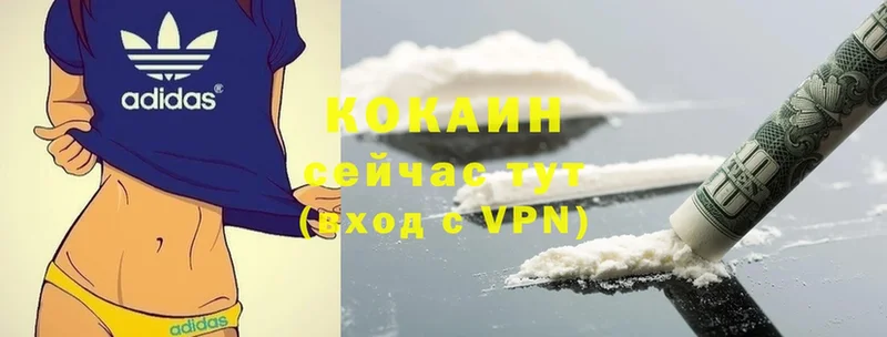 Cocaine 97%  что такое   Моздок 