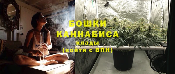 ешки Надым