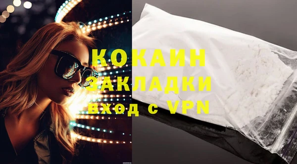 ГАЛЛЮЦИНОГЕННЫЕ ГРИБЫ Нея