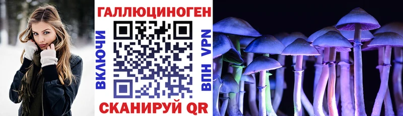 hydra вход  Моздок  Галлюциногенные грибы Psilocybine cubensis 