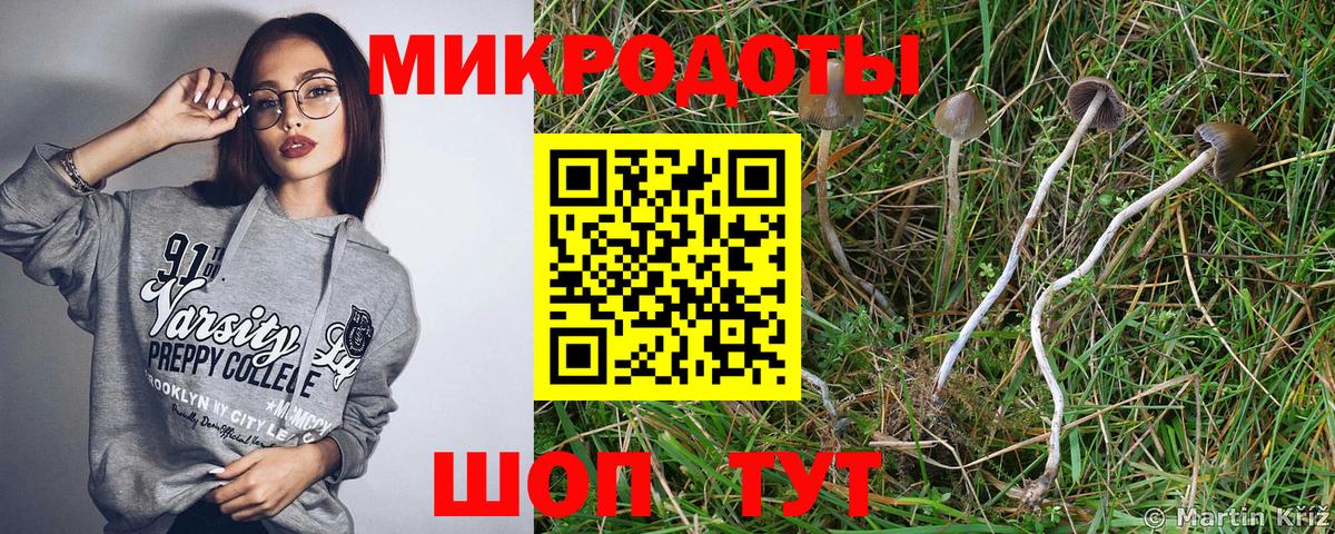 Псилоцибиновые грибы MAGIC MUSHROOMS  купить закладку  Моздок  Вход с VPN 