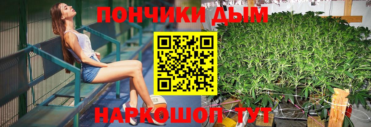 ГАШ Моздок